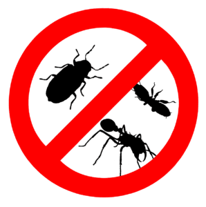 Pest Control Website Development in Bhubaneswar