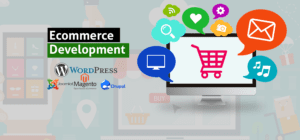 Best E-commerce development Company in India