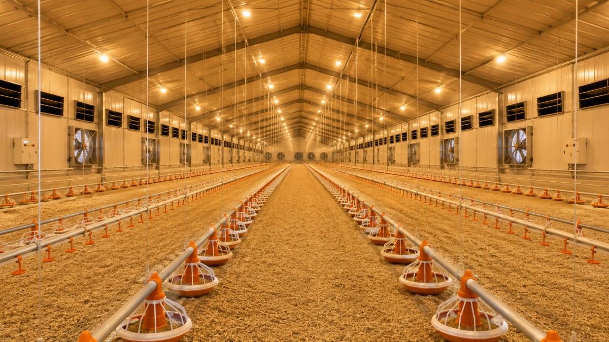 Poultry farm management software dashboard